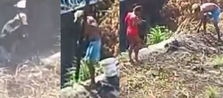 VÍDEO: Veja o momento em que homens enterram cadáver em terreno baldio, em Manaus