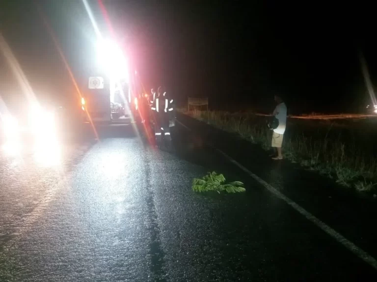 Homem que estava em festa é encontrado morto em rodovia do TO