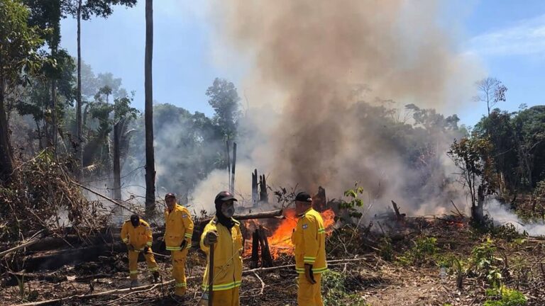 Imagem colorida mostra combate a incêndios florestais