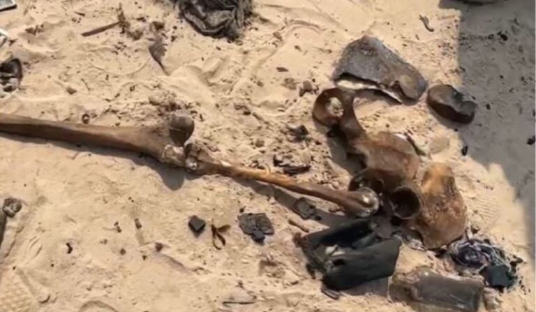 Partes de esqueleto humano são encontrados na Manaus Moderna