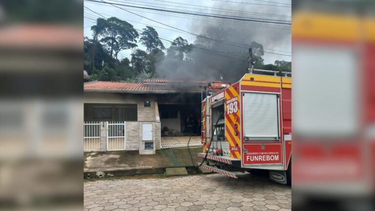 Homem mata seis gatos ao atear fogo na casa da ex-companheira Homem mata seis gatos ao atear fogo na casa da ex-companheira