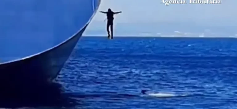 VÍDEO: Traficantes se jogam no mar com 100 kg de cocaína