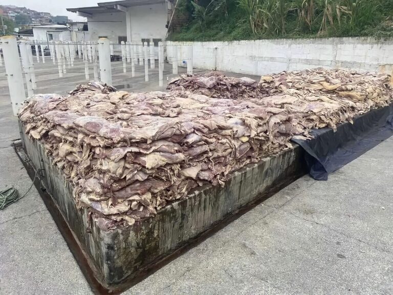 Polícia apreende 4,6 toneladas de carne estragada e com baratas