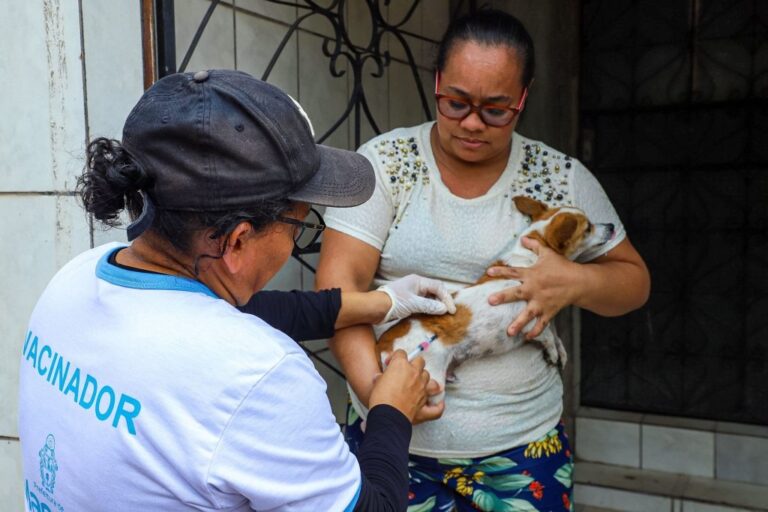 Campanha de vacinação animal começa nesta segunda (9) na zona urbana