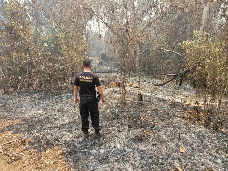 Homens são presos por queimadas ilegais em Iranduba, no AM Homens são presos por queimadas ilegais em Iranduba, no AM