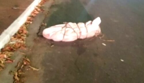 Corpo é encontrado “embalado” em saco de fibra no meio da rua, em Manaus Corpo é encontrado “embalado” em saco de fibra no meio da rua, em Manaus