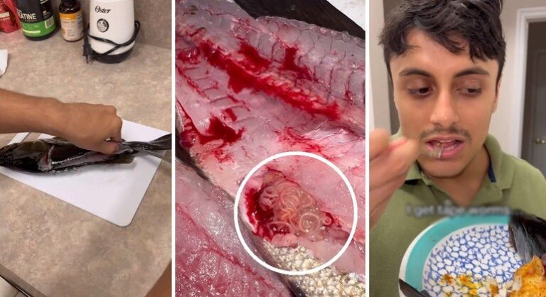 Vídeo: Influenciador come peixe cheio de vermes para viralizar