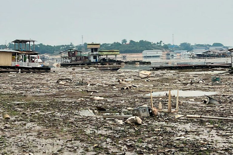VÍDEOS: Em Manaus, Laguinho do Tarumã vira cenário de lixo acumulado