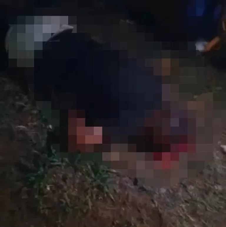 Suspeito de matar morador de rua com golpes na cabeça é preso em praia de Palmas
