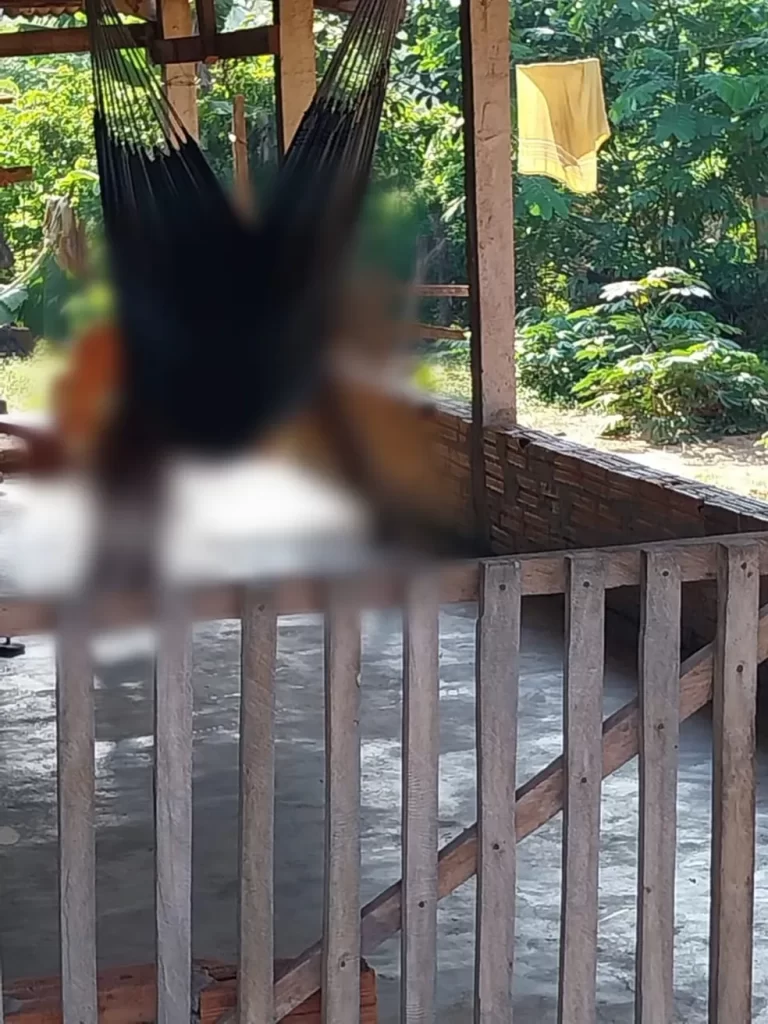 Homem é morto a tiros na varanda de casa, em Colinas do Tocantins