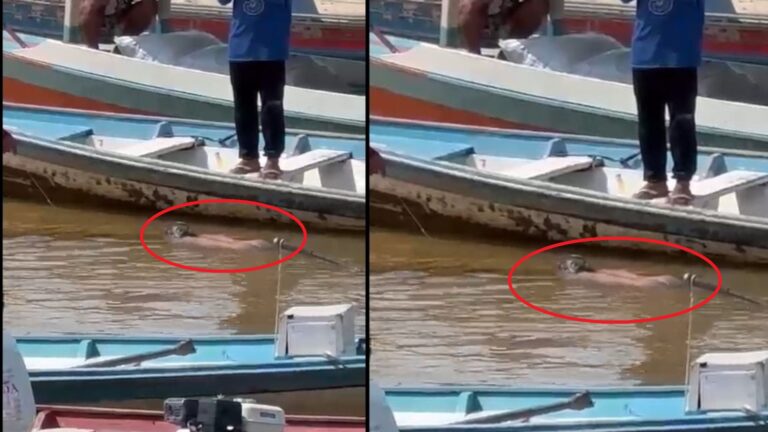 VÍDEO: Corpo é encontrado nu boiando em orla e após quase ser devorado por urubus, no AM