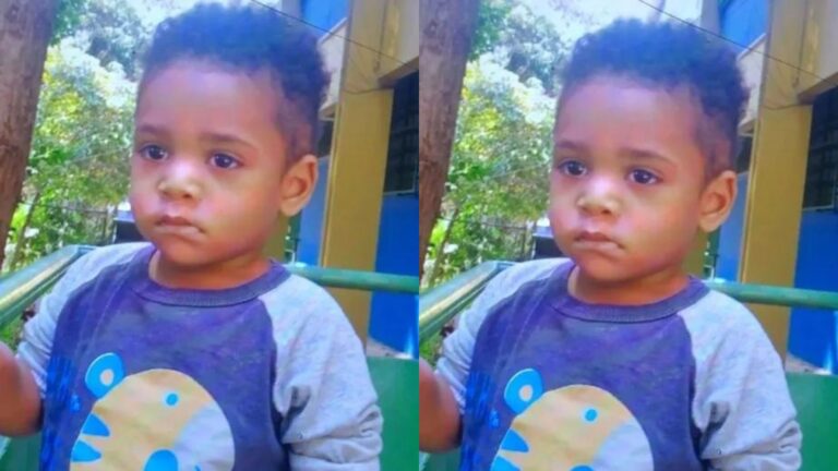 Criança de 2 anos morre após ser esquecida dentro de van escolar, em São Paulo