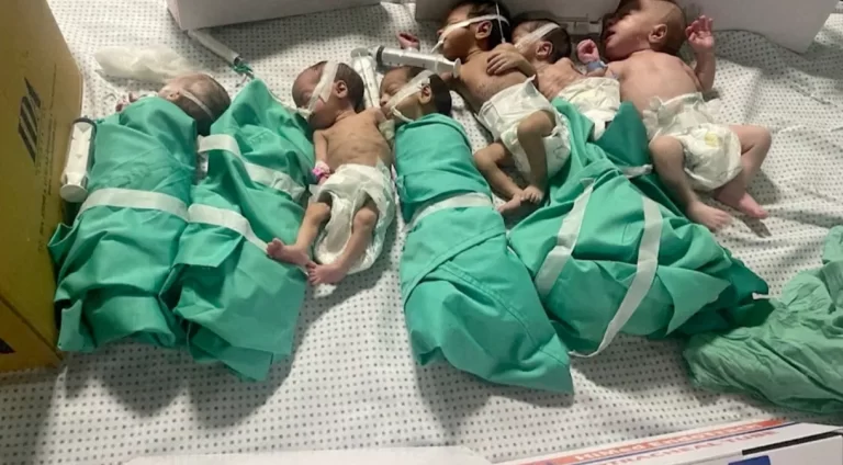 Hospital em Gaza tenta transferir bebês para o Egito