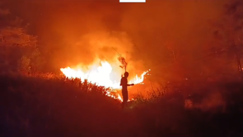 VÍDEOS: Incêndios atingem áreas florestais de Parintins, no AM