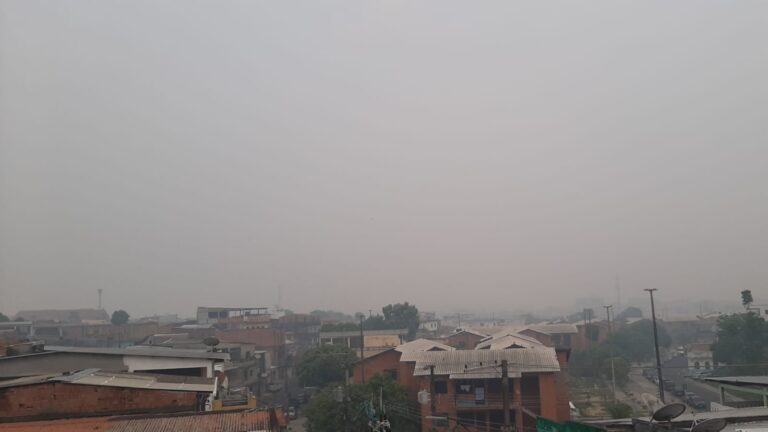 Imagem colorida mostra fumaça dissipada por Manaus na manhã do sábado (04/11)