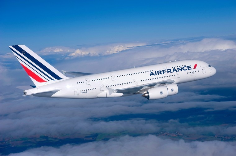 Voo da França faz retorno urgente para aeroporto após conferir embarque de um rato