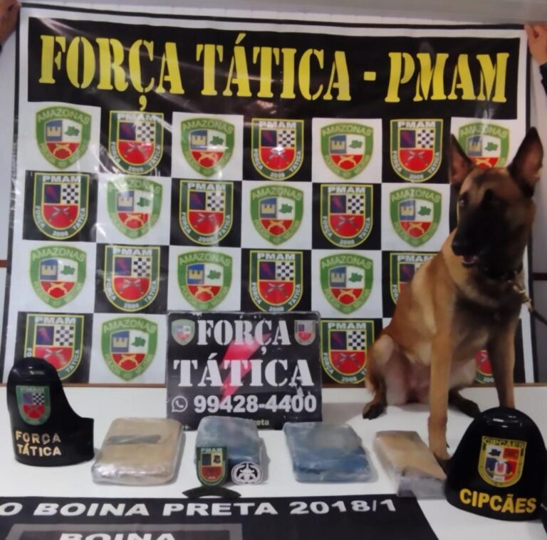 Cão farejador encontra drogas avaliadas em mais de R$ 60 mil