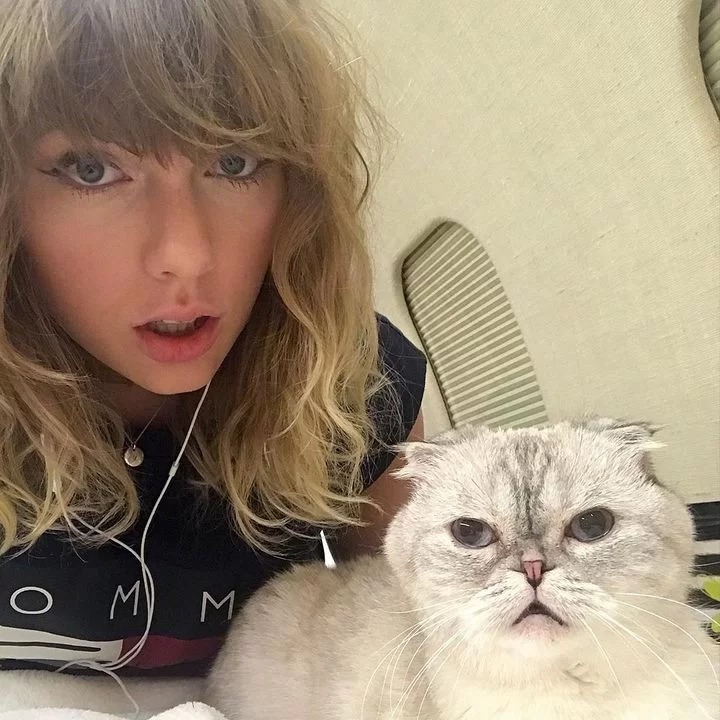 Gata de estimação da cantora Taylor Swift é o terceiro animal mais rico do mundo