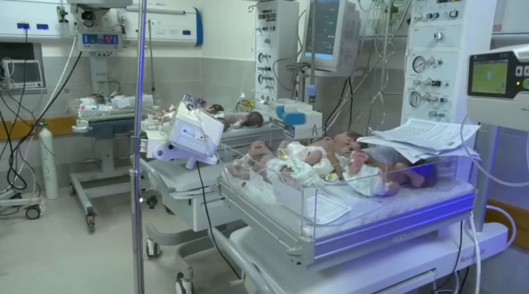 31 bebês prematuros chegam ao Egito para receber tratamento