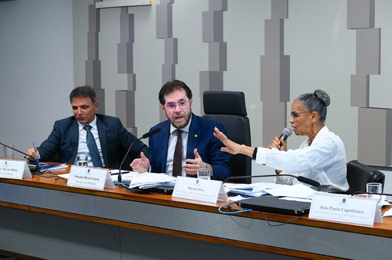 Plínio Valério - Marina Silva