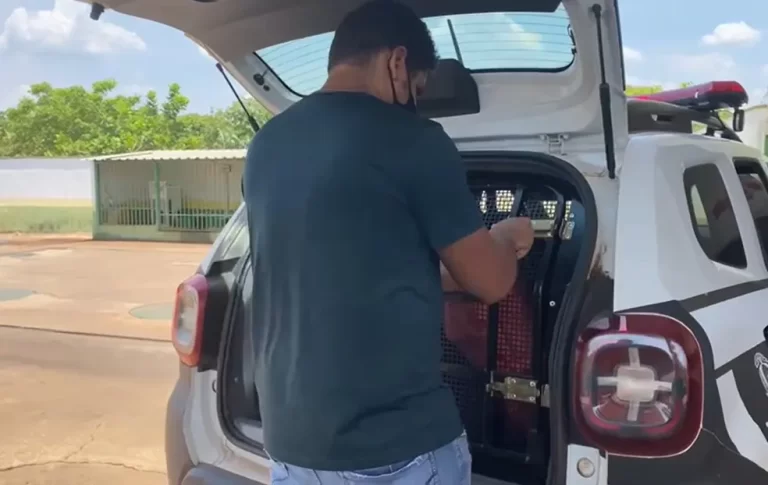 Suspeito de matar vendedor no dia do casamento da irmã é preso em Palmas