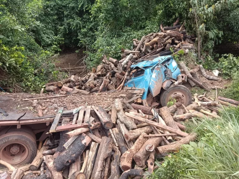 Idoso morre após perder o controle de caminhão e ficar preso às ferragens, no Tocantins