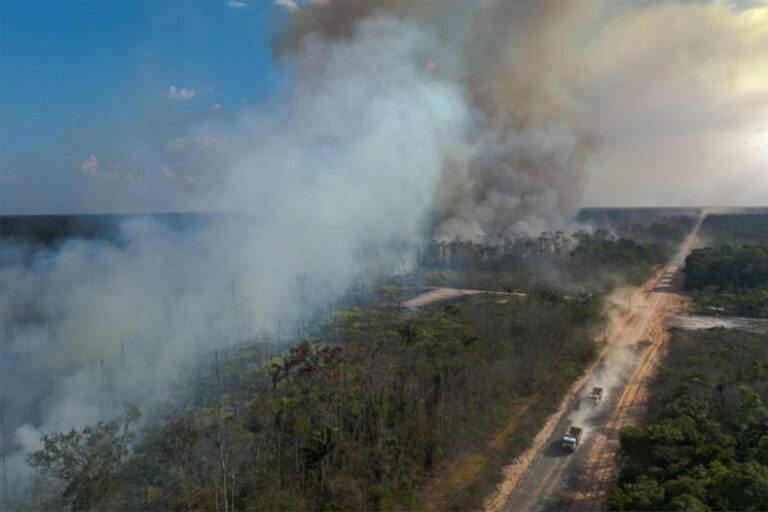 Área da BR-319 concentrou 40% das queimadas no Amazonas em período crítico da seca