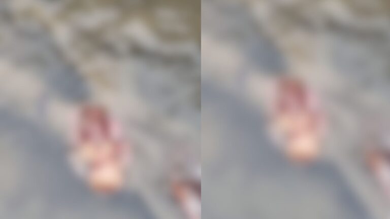 VÍDEO: Feto é encontrado jogado em igarapé próximo à escola de samba, em Manaus