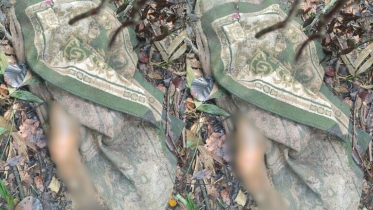 Corpo é encontrado em estado avançado de decomposição, no Distrito 2, em Manaus
