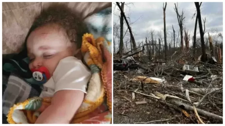 Bebê levado por tornado é encontrado vivo na copa de uma árvore
