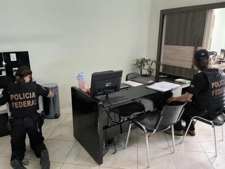 PF deflagra operação contra suspeitos de maior desmatamento na Amazônia