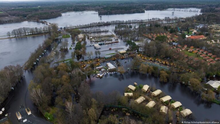 Zoológico da Alemanha é inundado devido a chuva e deixa centenas de animais desabrigados