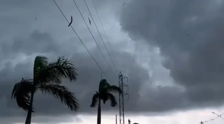 VÍDEOS: Chuva deixa Manaus em estado de ‘alerta em potencial’