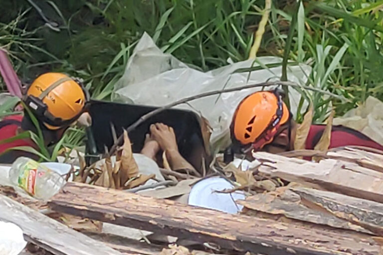 Mulher é encontrada morta e nua em área de mata no Alvorada, em Manaus
