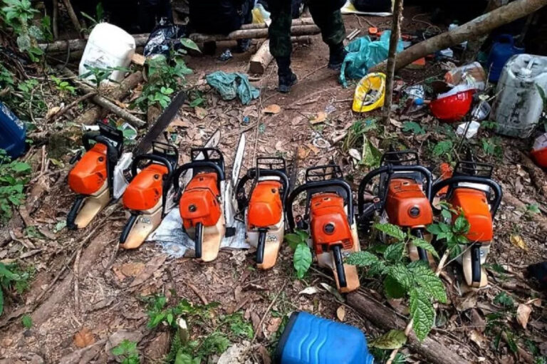 "Bota pra derreter": Maior devastador da Amazônia usava a filha e advogada para crimes ambientais