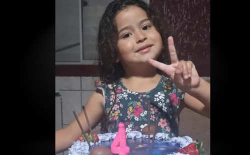 Criança de 4 anos escorrega de pedra, cai no rio e some, em Santa Catarina