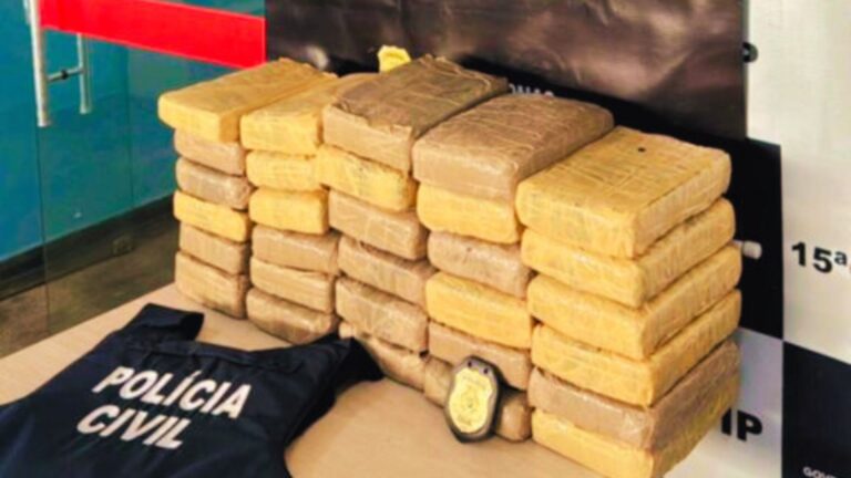 Drogas avaliadas em R$ 240 mil são apreendidas durante operação, em Manaus