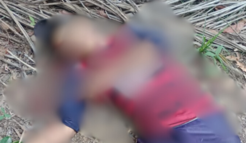 Com marcas de tiros, corpo é encontrado em área de mata de Manaus
