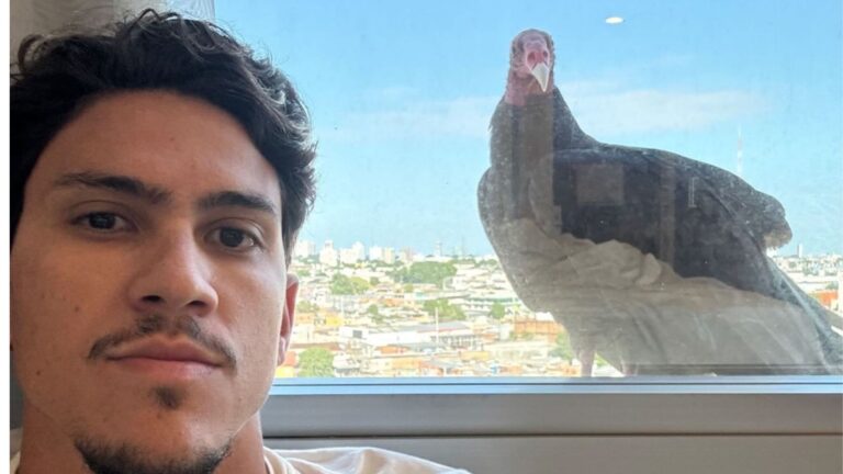 Sinal: Atacante do Flamengo posta urubu em janela de Hotel em Manaus no dia da estreia em campeonato
