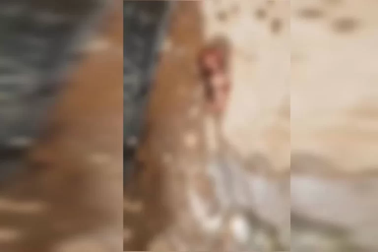 Feto é encontrado dentro de cisterna de residencial em Góias