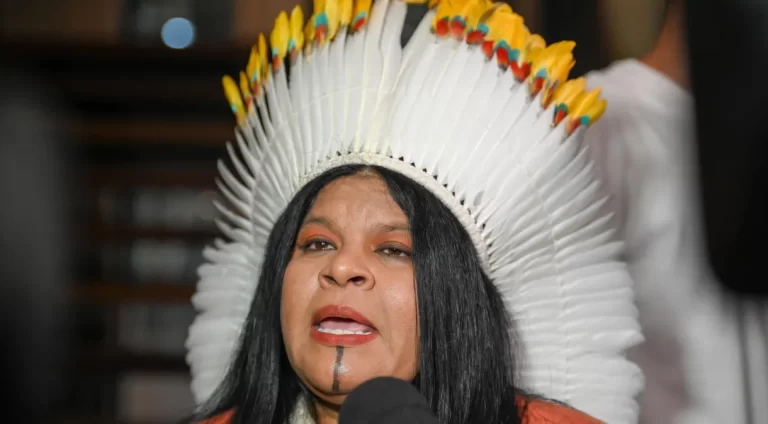 Ministra Sonia Guajajara fala sobre queimadas