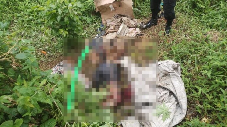VÍDEO FORTE: Cadáver é encontrado jogado em área de mata, no AM