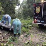 WhatsApp Image 2024-01-27 at 11.53.14