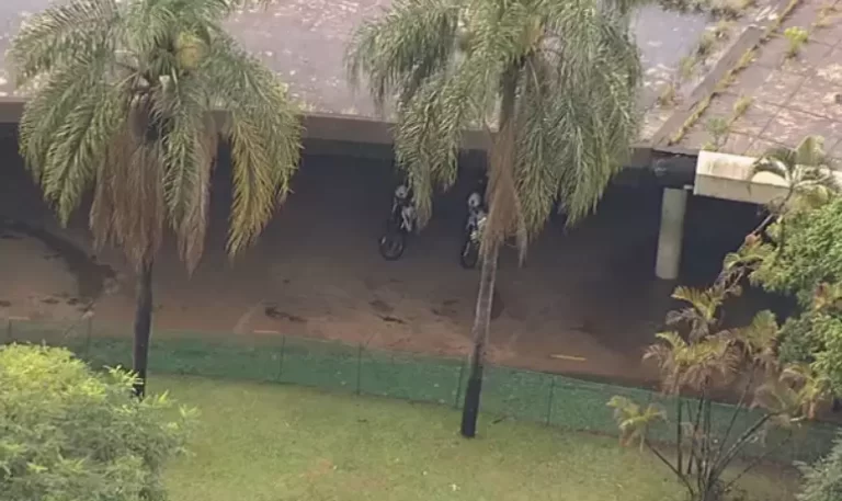 Estrutura de marquise e árvores caem no Ibirapuera e quatro pessoas ficam feridas em SP