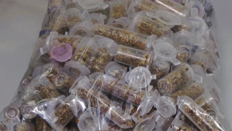 SP registra mais de mil casos de intoxicação por Droga K e 12 mortes