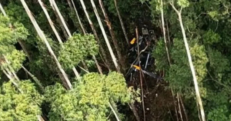 Polícia de SP registra queda de helicóptero como “homicídio culposo” e piloto como autor
