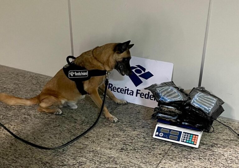 Mais de 6kg de maconha são apreendidos por trás de espelho, no banheiro do aeroporto de Manaus