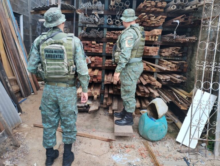 Em Manaus, PM apreende madeira ilegal em loja de material de construção