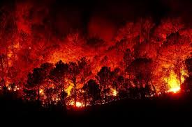 Catástrofe: Após incêndios florestais, Chile registra dezenas de mortos
