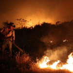 Captura de tela 2024-02-05 223816